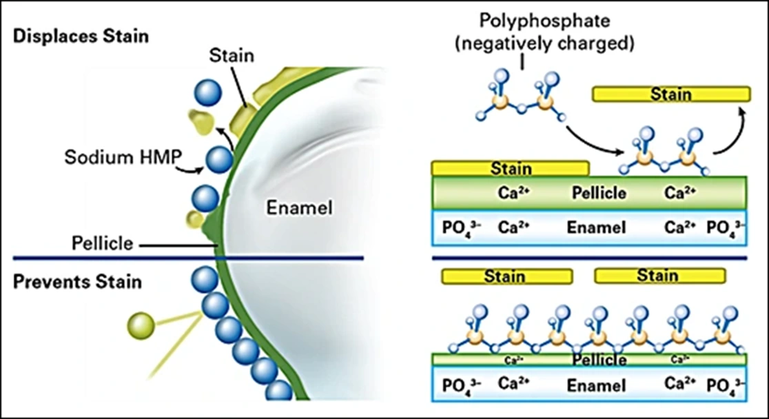 ce670 - Images - Fig. 19