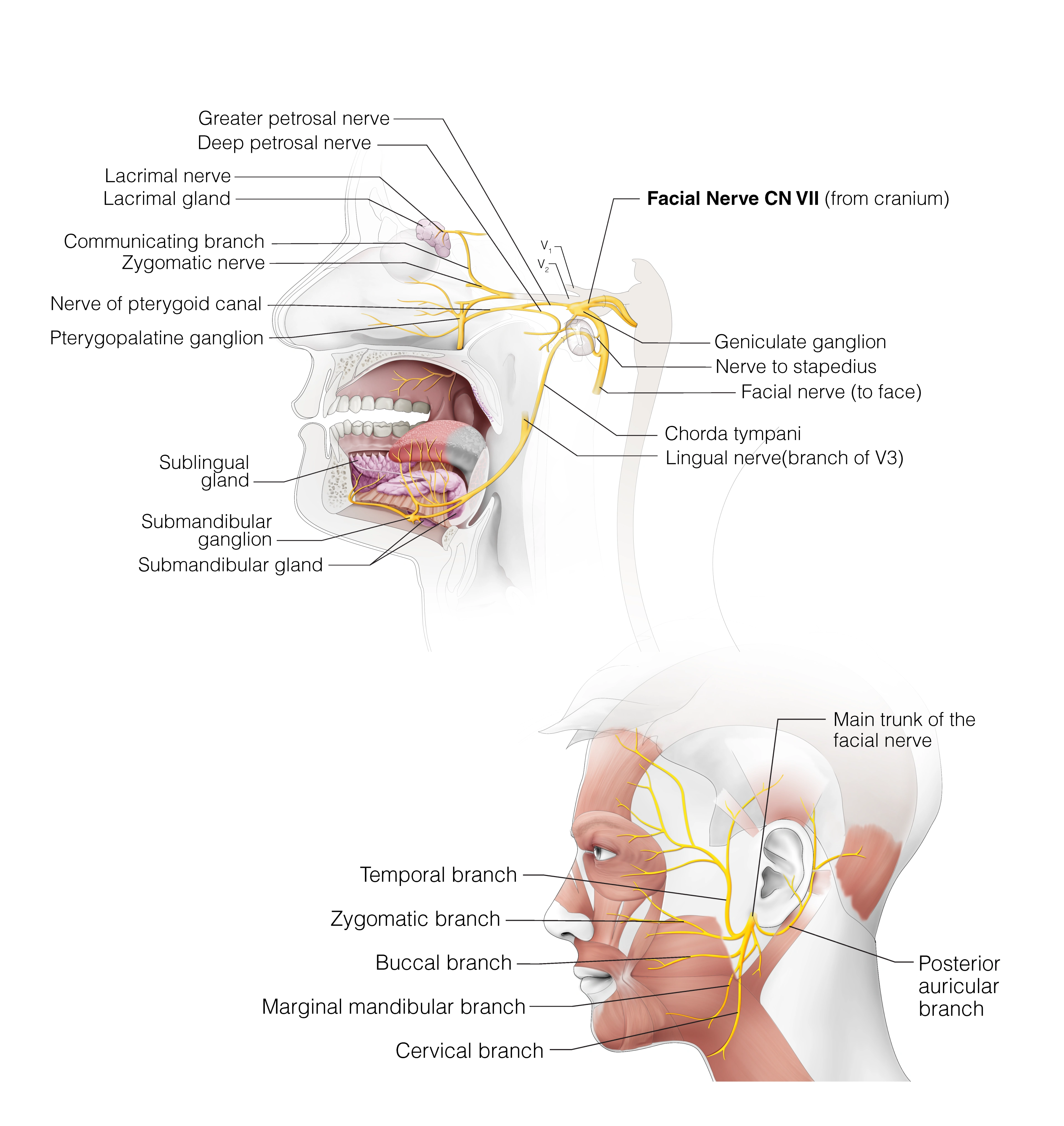 CE598 - Appendix K