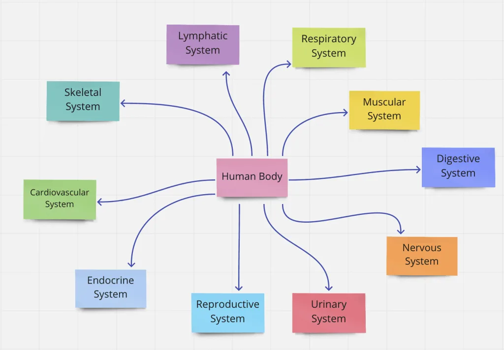 Concept Map Beispiel_2.png