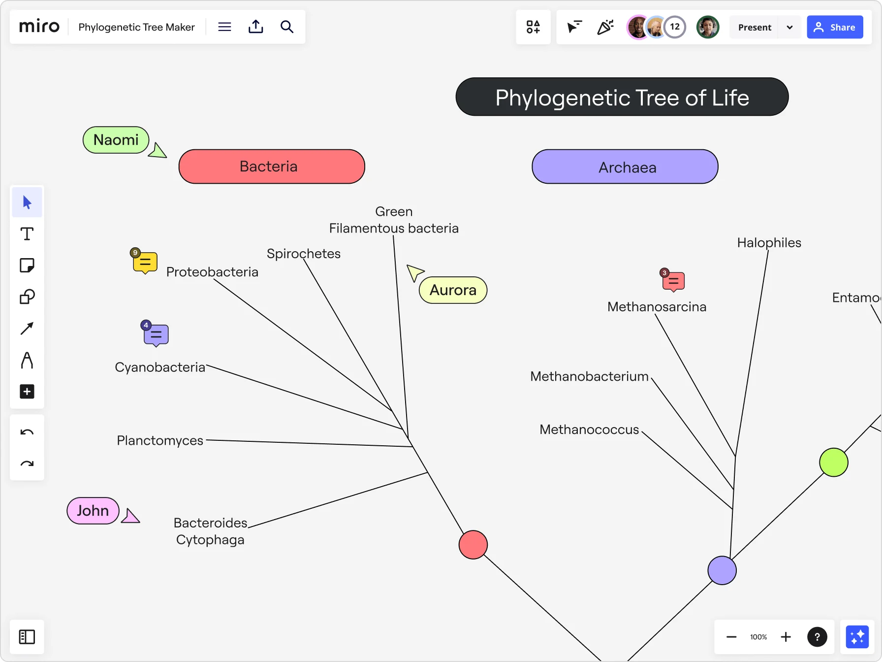 Collaboratng on a Phylogenetic tree