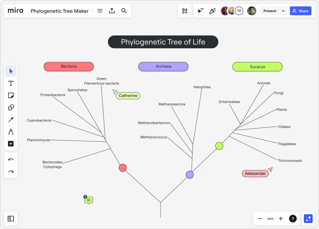 A phylogenetic tree diagram in Miro