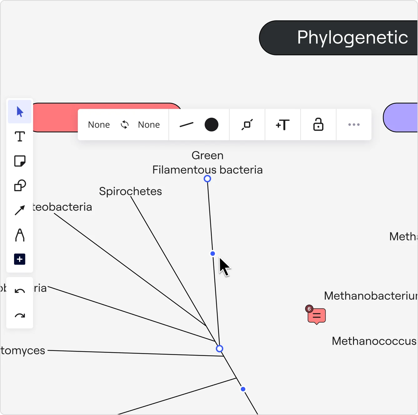 Phylogenetischer Stammbaum in Miro