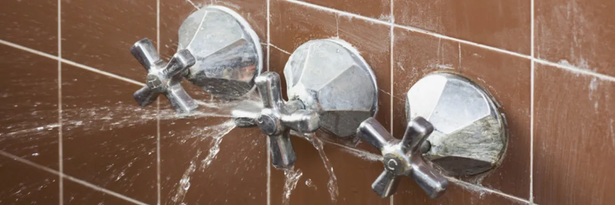 A set of shower taps leaking water.
