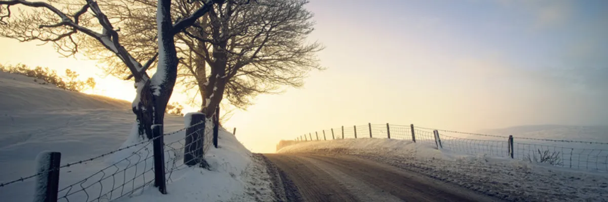 A snowy country road with fences running alongside it.