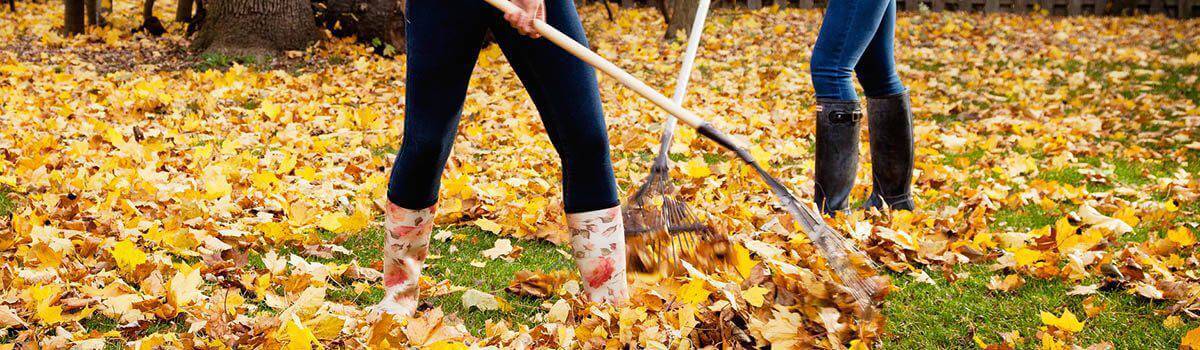 women-raking-leaves-photo