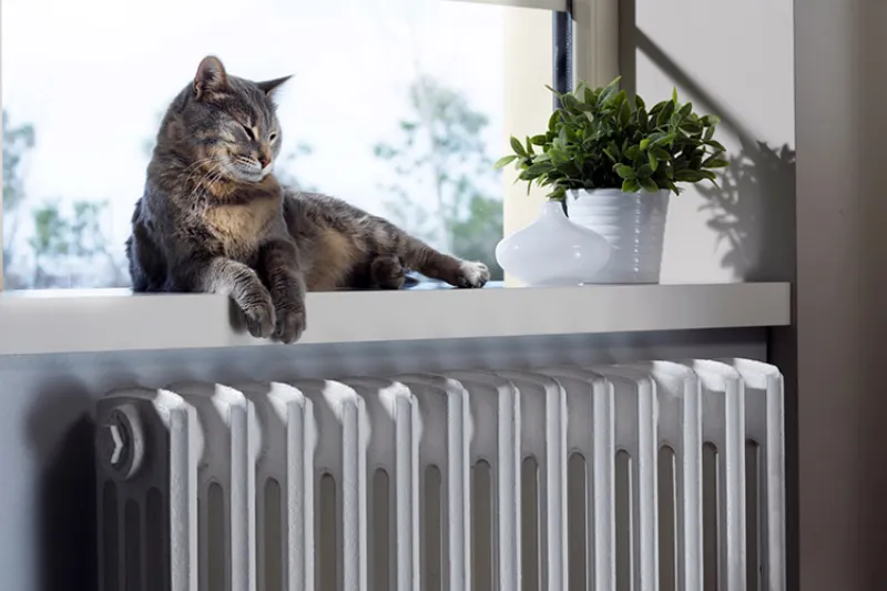 A cat sitting on a ledge above a radiator.