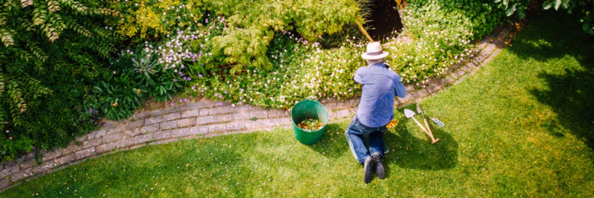 A lone gardener planting flowers in a garden, as seen from above.