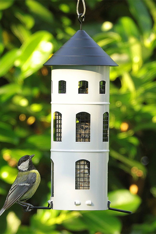 bird perched on bird house
