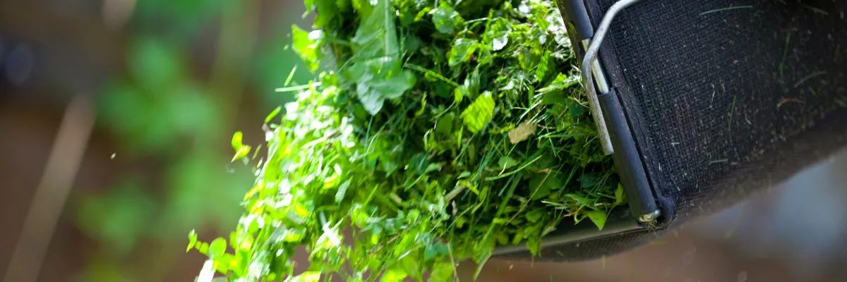 A bundle of green garden waste being processed.