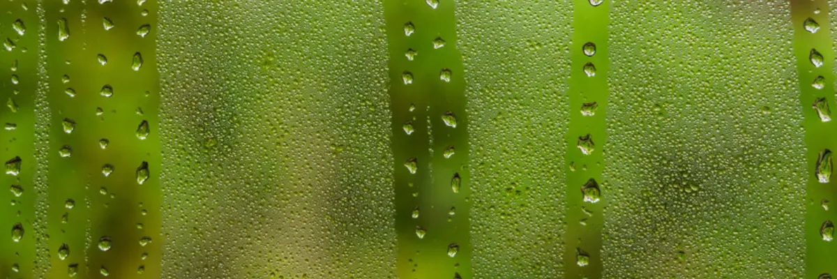 A window covered in condensation.
