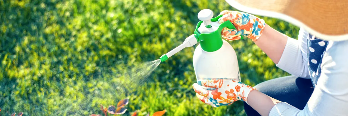 A weed killer being sprayed from a bottle in a garden.