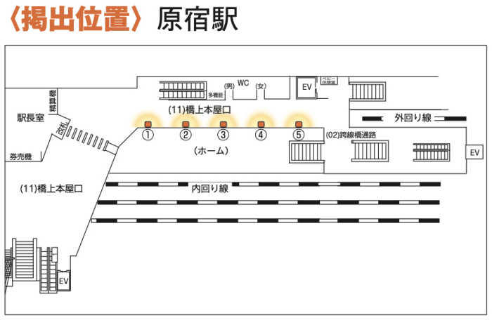 JR原宿駅柱シート広告MAP