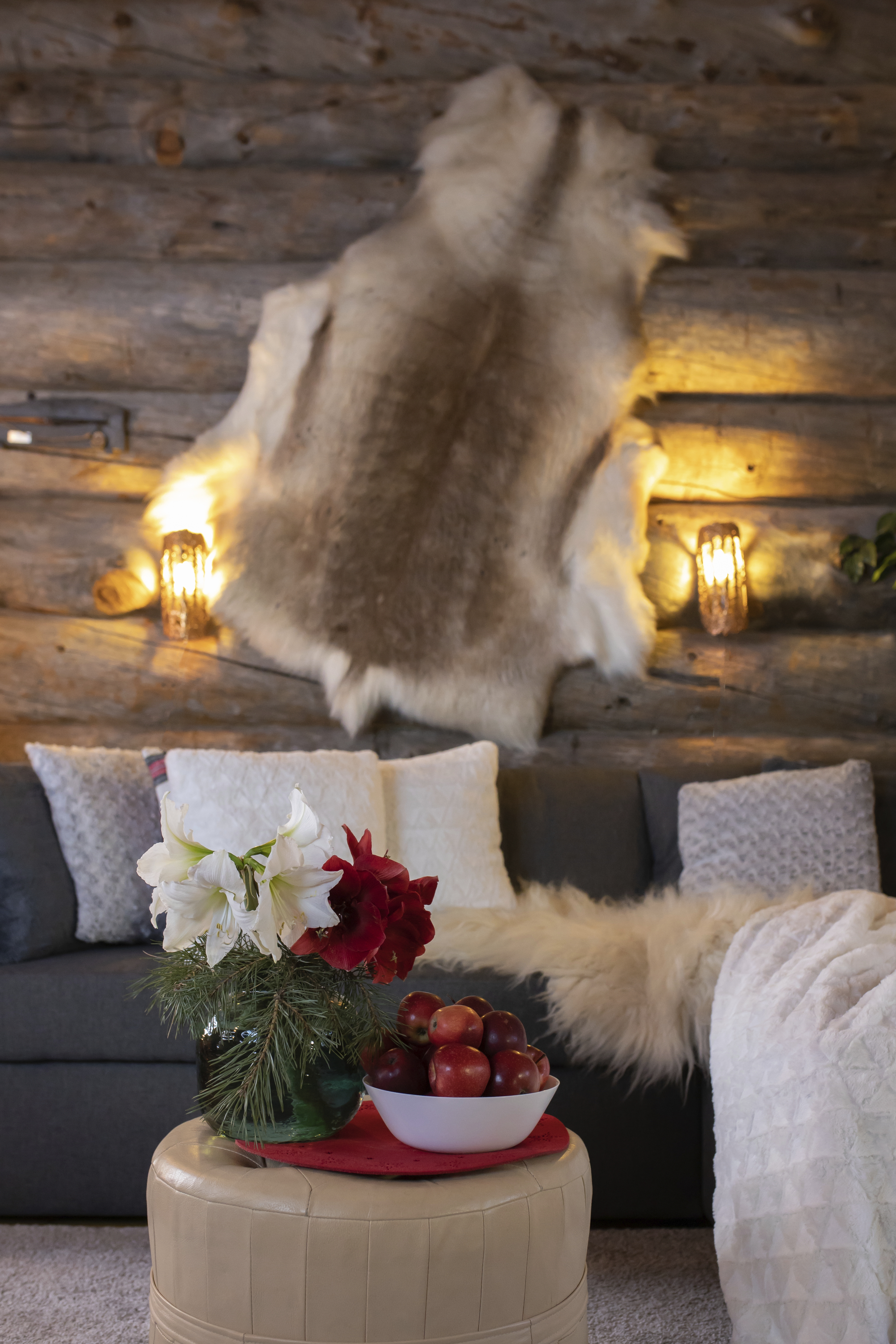 Talja seinällä jouluisessa kelomökissä, sohva ja amarylliksiä sohvapöydällä.