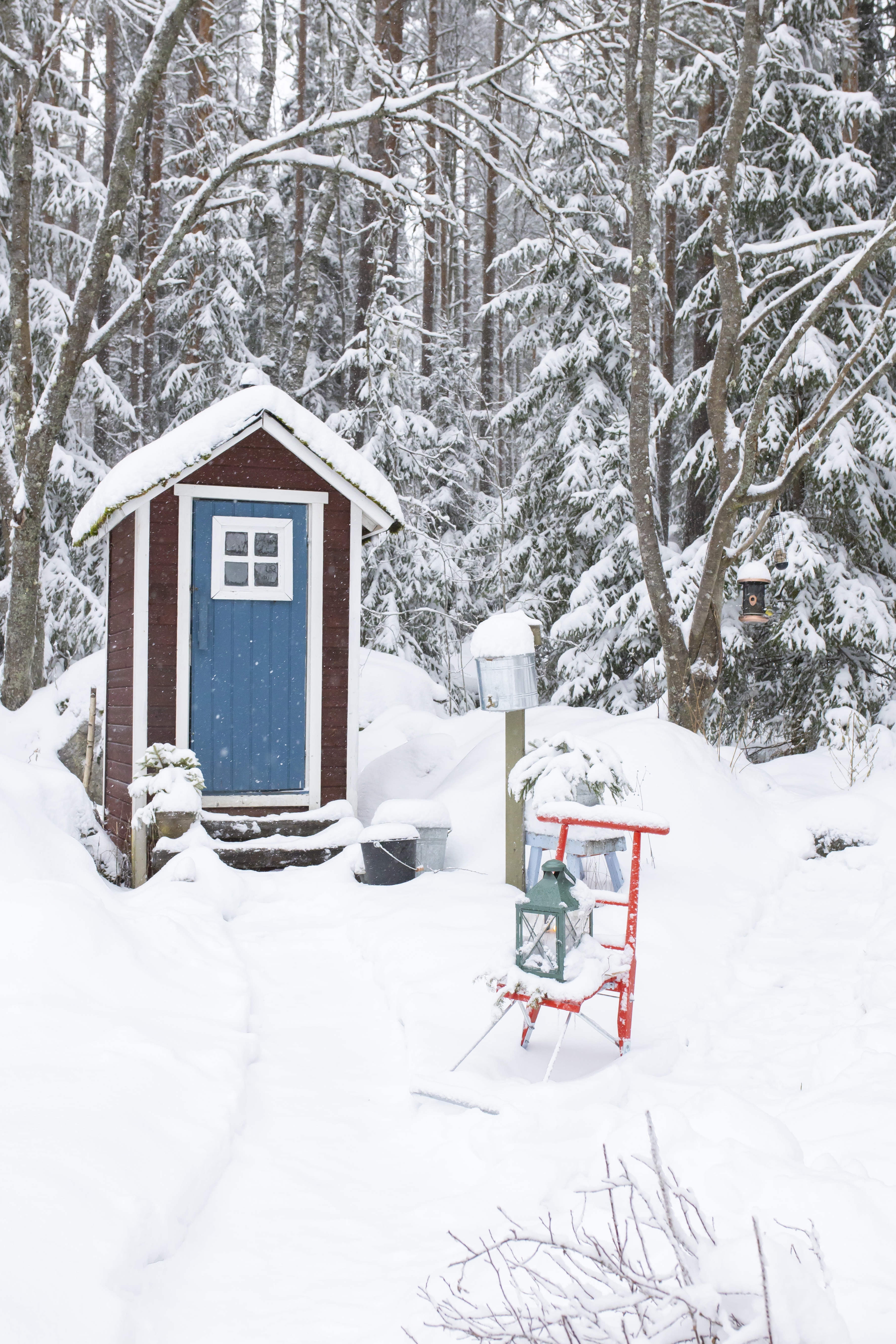 Ulkohuussi ja potkukelkka lumisen metsän edessä.