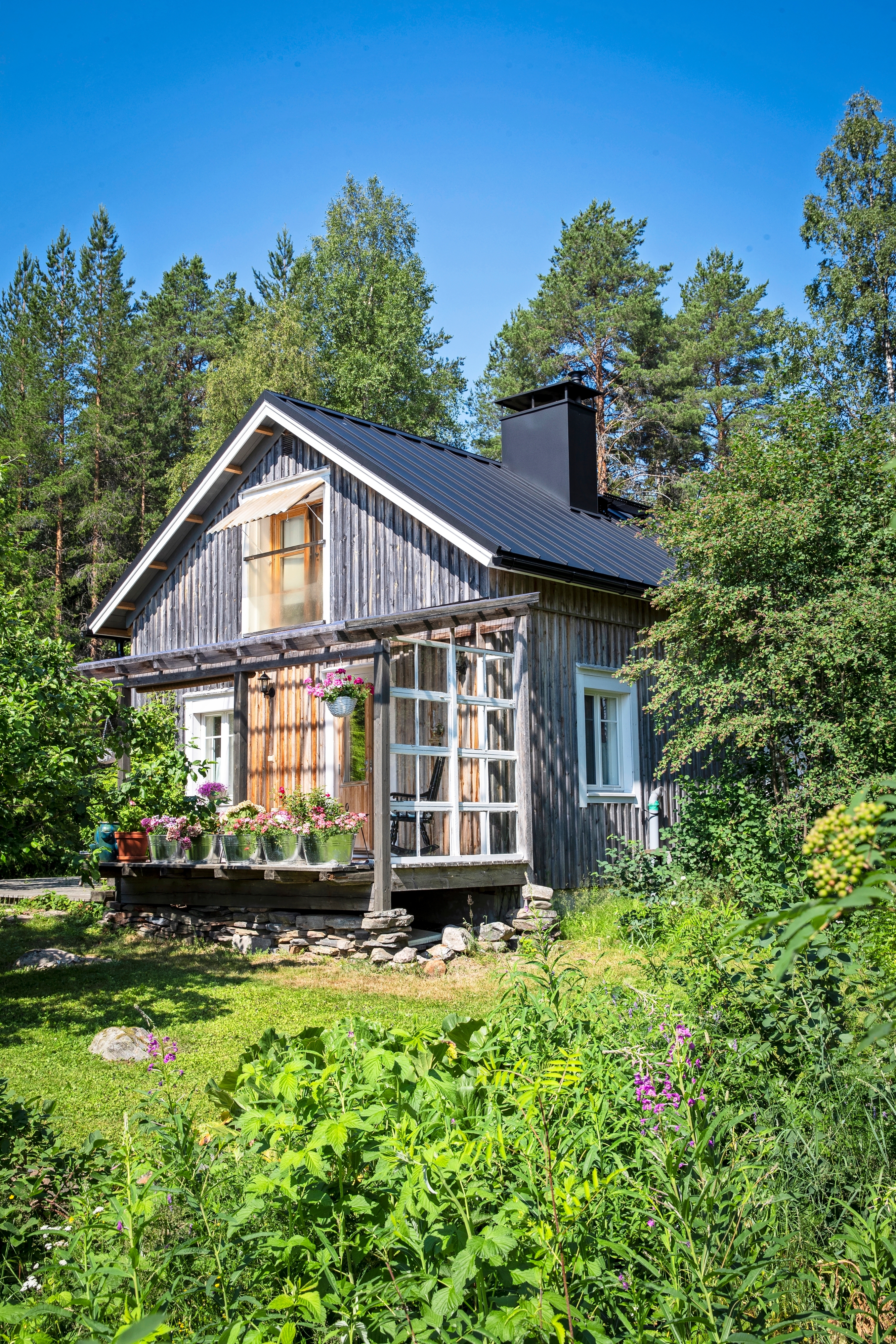 Harmaantunut hirsimökki ja kesäinen pihapiiri.