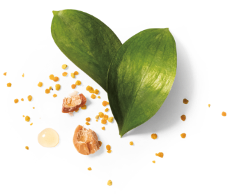 Herbal Essences ingredient picture