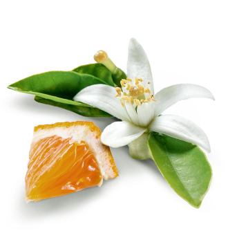 Herbal Essences ingredient picture