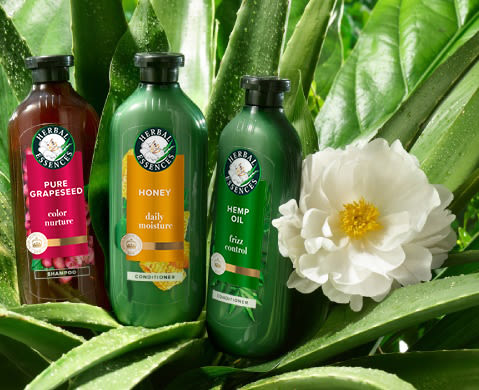 Herbal Essences Argan Oil, Hemp + Potent Aloe, Honey + Vitamin B, White Grapefruit & Mint Shampoos