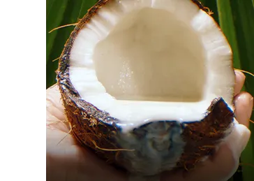 hand holding an opened up coconut with water inside