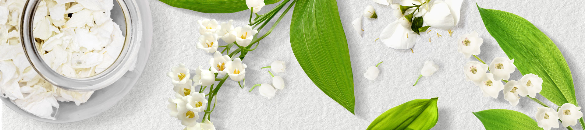 Lily Of The Valley Extract (1 oz) - Mountain Air Herbs