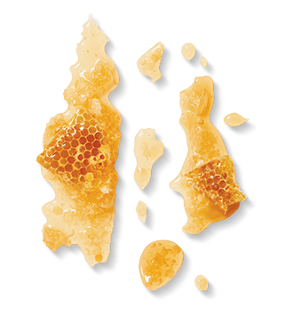 Herbal Essences ingredient picture