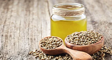 5 Benefits of Hemp Seed Oil for Hair: How to Use – VedaOils USA