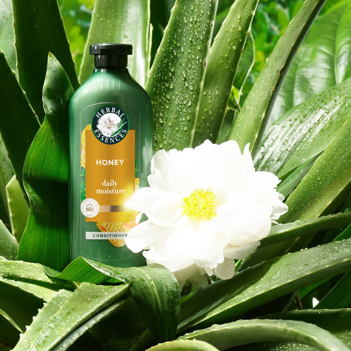 Aloe Hemp Collection range