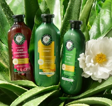Grapeseed, Honey and Hemp Shampoos