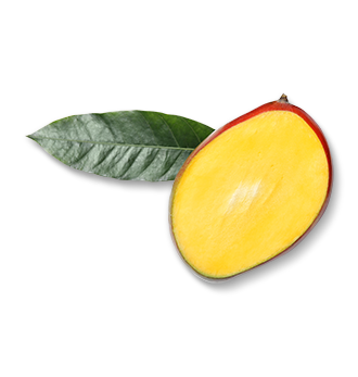 Herbal Essences ingredient picture