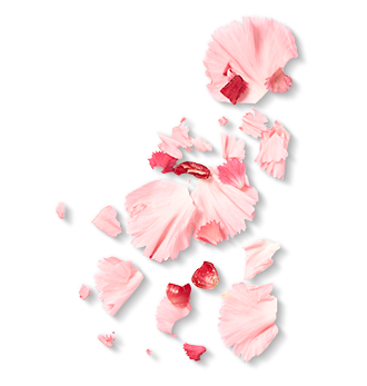 Herbal Essences ingredient picture