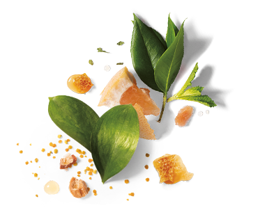 Honey and Plant Leaves