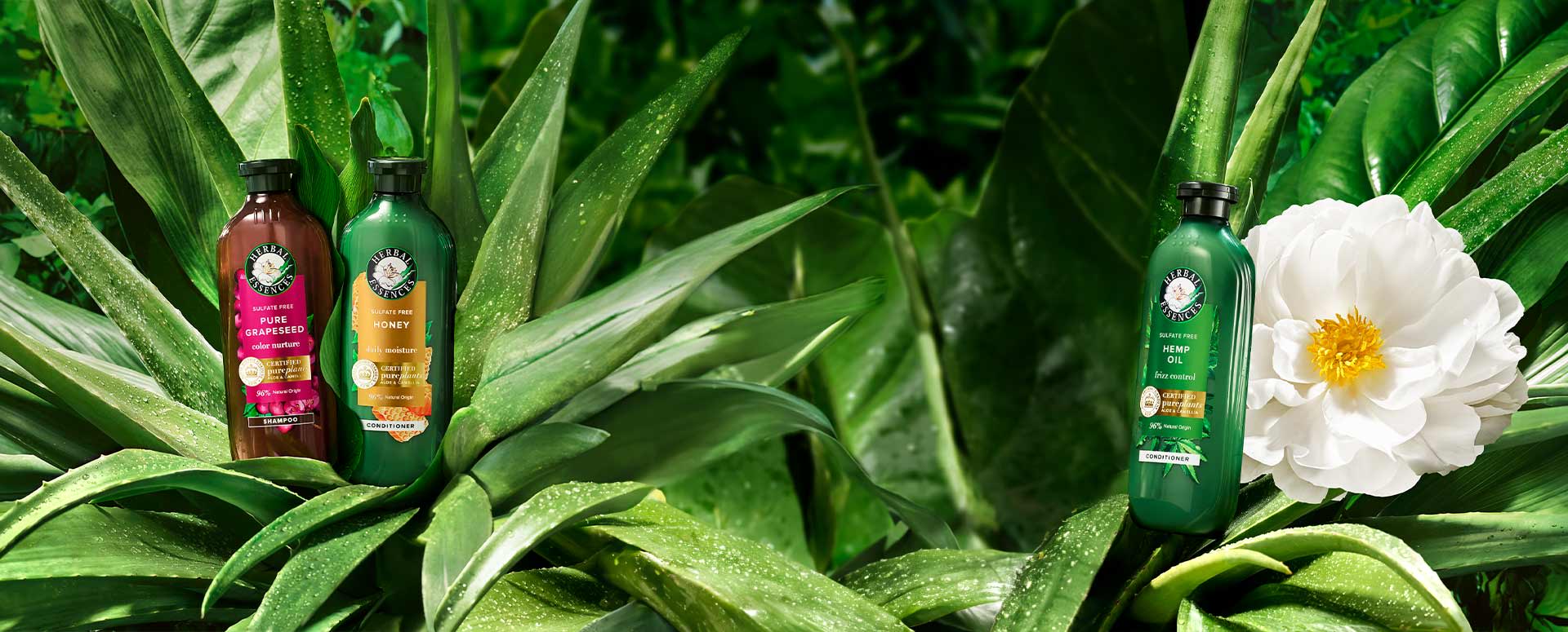 Herbal Essences products on a leafy background