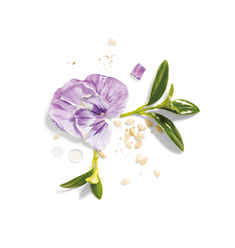 Herbal Essences ingredient picture