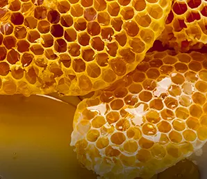 Honeycombs with honey dripping