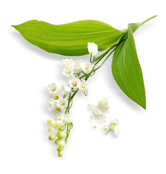 Herbal Essences ingredient picture