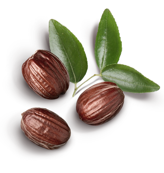 Herbal Essences ingredient picture