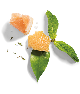 Herbal Essences ingredient picture