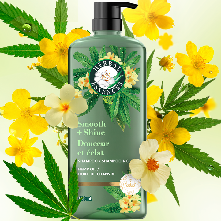 aloe vera haut anwendung Aloe Vera Gel
