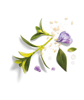 Herbal Essences ingredient picture