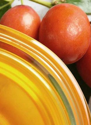 A close-up of jojoba