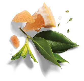 Herbal Essences ingredient picture