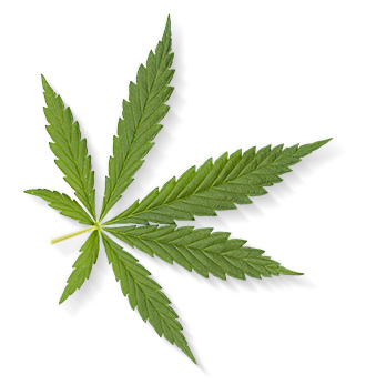 Herbal Essences ingredient picture