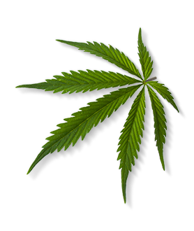 Herbal Essences ingredient picture