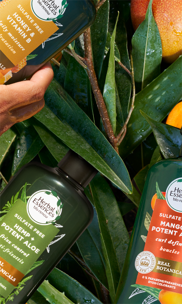 Find the Botanical Shampoo and Conditioner for You