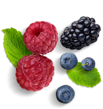 What is Wildberries