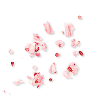 Herbal Essences ingredient picture