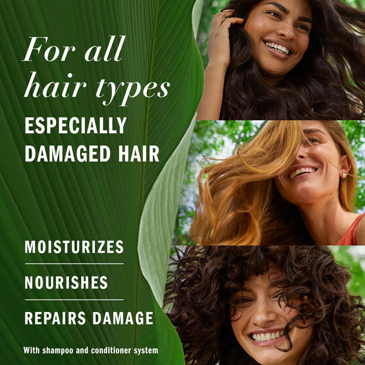 Herbal Essences Argan Oil Paraben Free Shampoo, Hair Repair, 13.5 fl oz,  with Certified Camellia Oil and Aloe Vera, For All Hair Types, Especially
