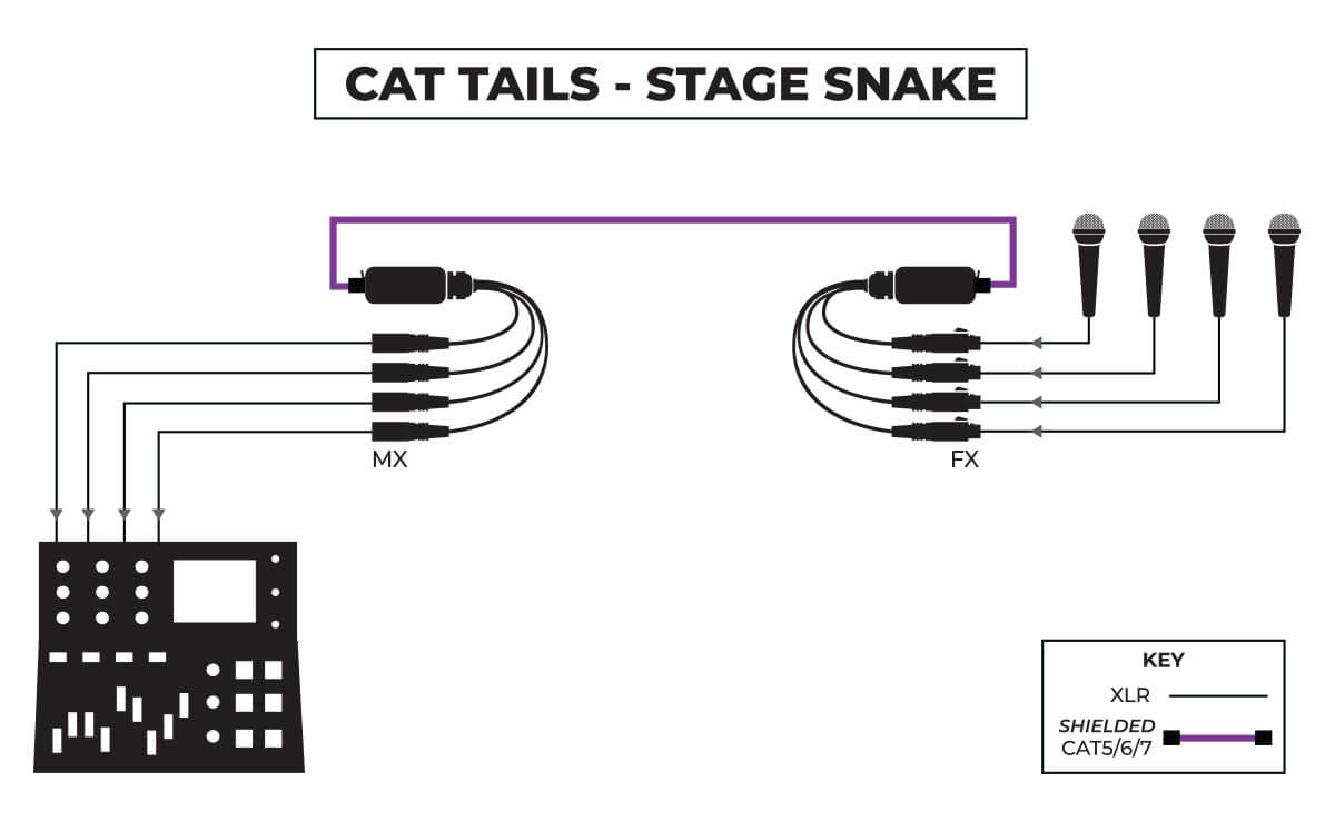 CATTailsstagesnake