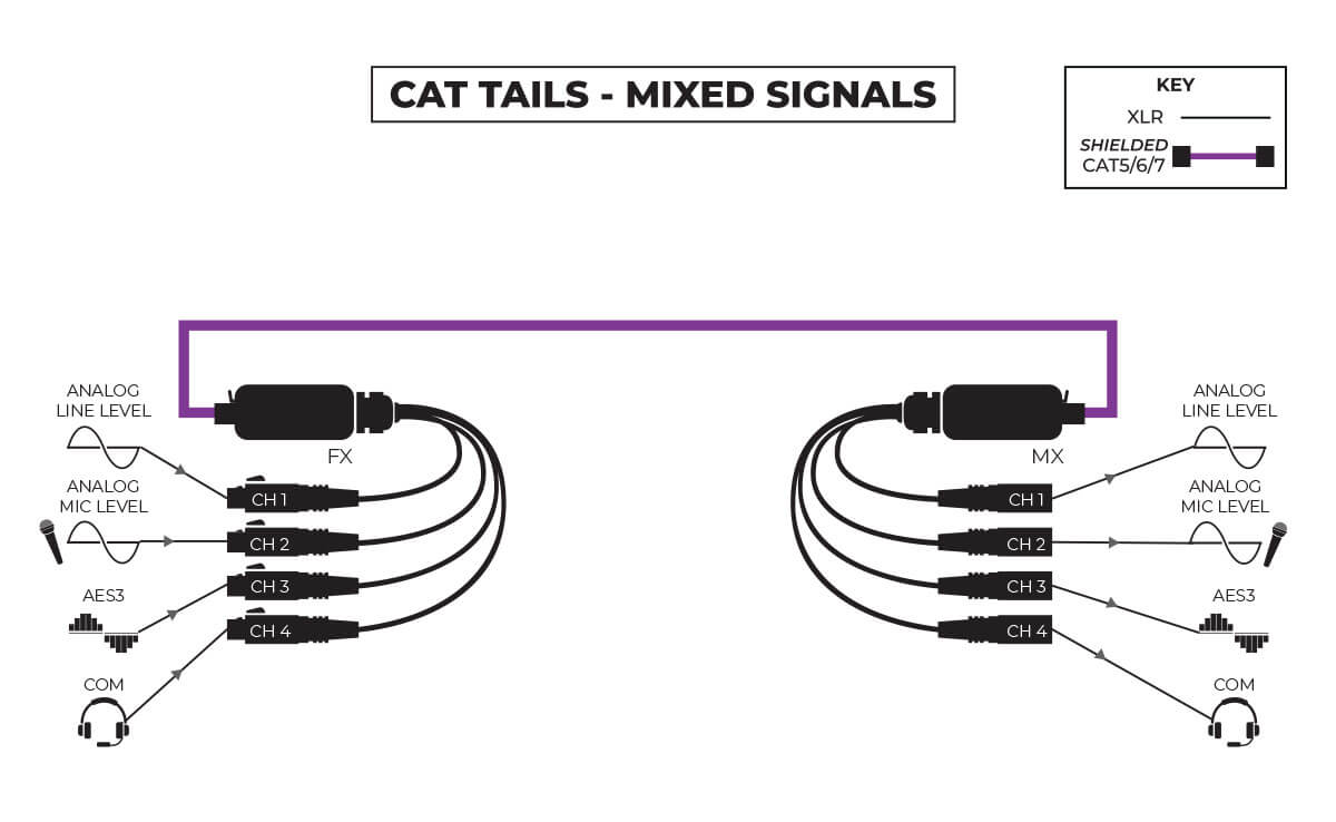 CATTailsmixedsignals