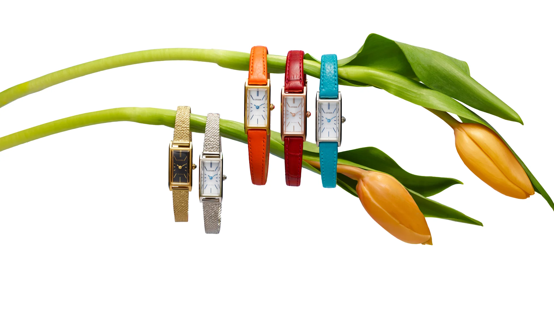 Women's Classic Watches Hero Image